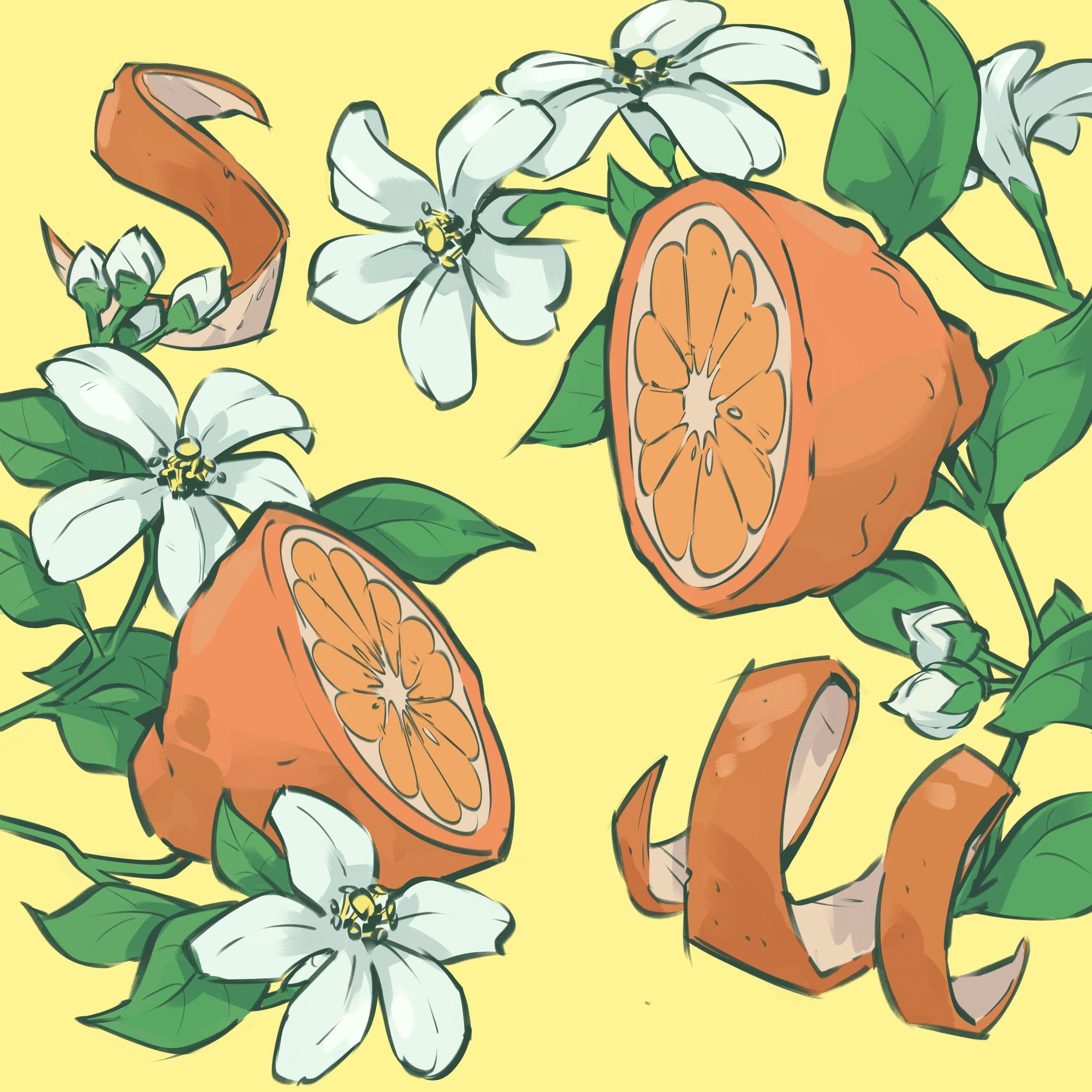 Orange Pekoe (Single Origin Jimma Ethiopia)