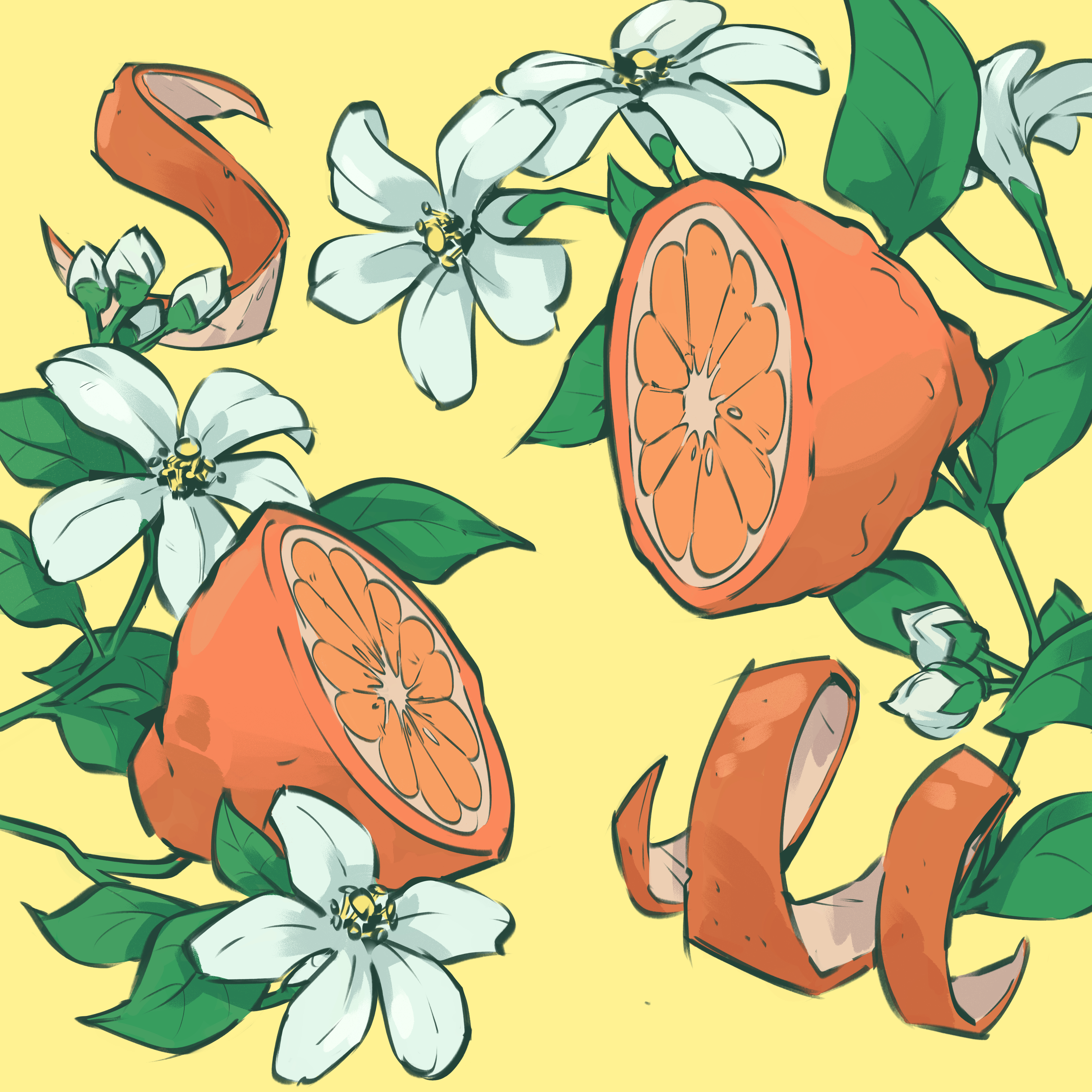 Orange Pekoe